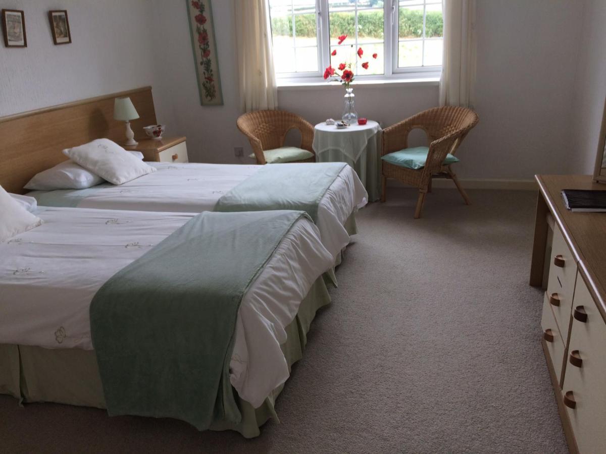 The Grange Accommodation, Waye Farm, Ermington, Devon Holbeton Buitenkant foto