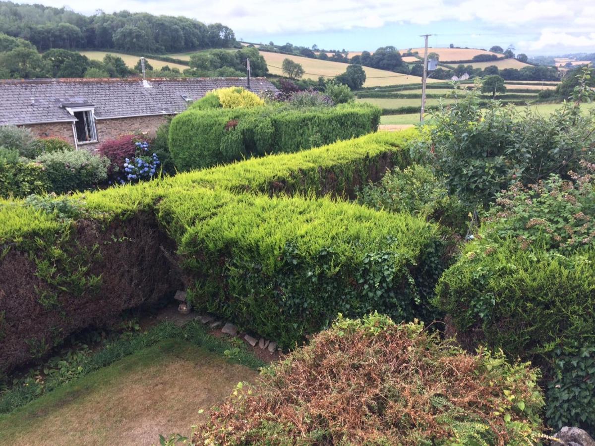 The Grange Accommodation, Waye Farm, Ermington, Devon Holbeton Buitenkant foto