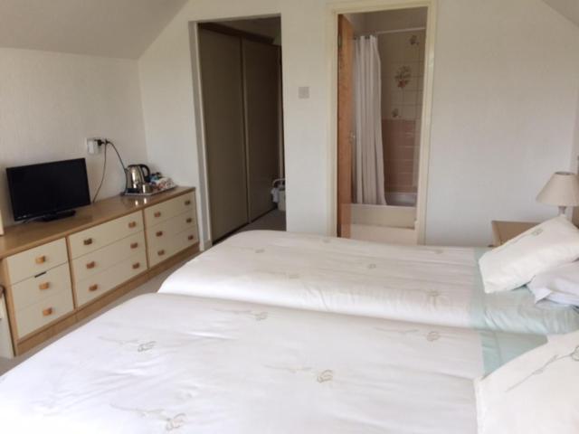 The Grange Accommodation, Waye Farm, Ermington, Devon Holbeton Buitenkant foto
